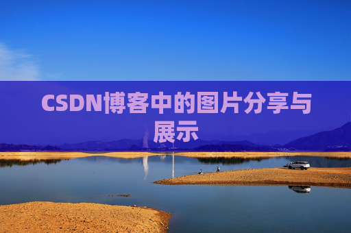 CSDN博客中的图片分享与展示